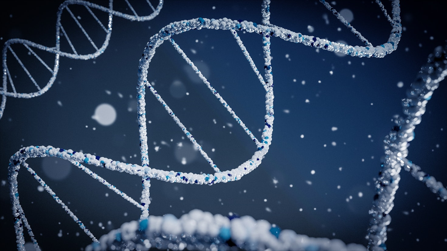 The Evolution Of Evidence Based Functional Medicine
